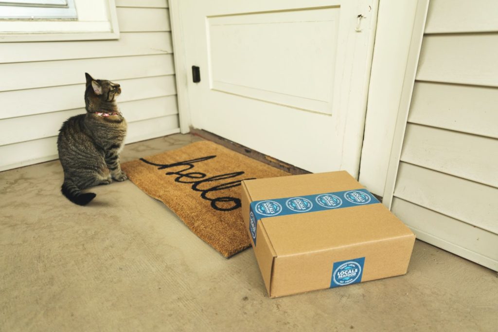 Photo of a cat with a delivery